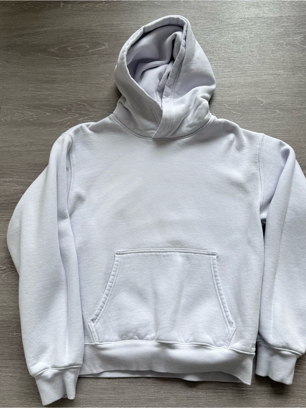 Aritzia Perfect Fit Sweatfleece Hoodie Light Blue